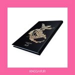 دفتر کی نگار